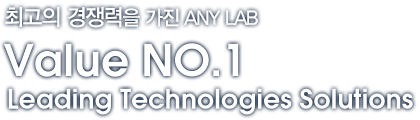 최고의 경쟁력을 가진 ANYLAB 입니다.